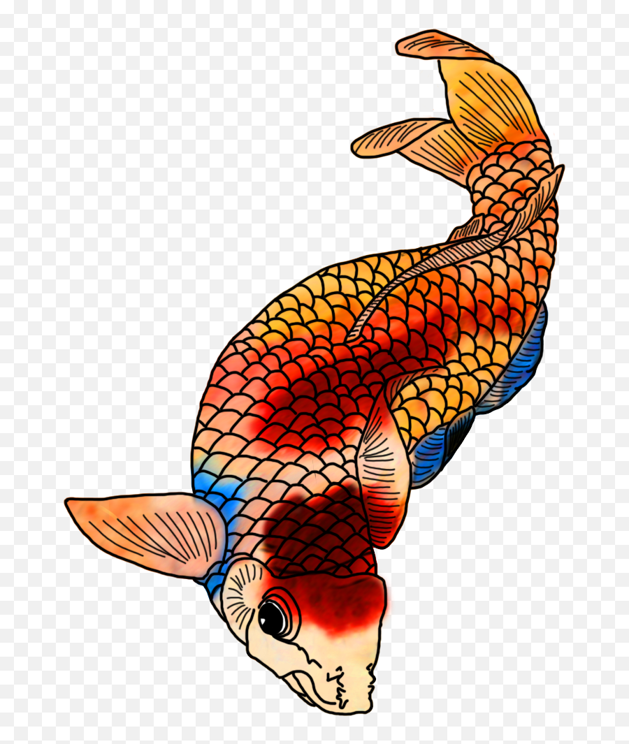 Koi Fish Clipart In Different Colours And In Black - Drawing Beautiful Colorful Fish Drawing Emoji,Fish Clipart Black And White