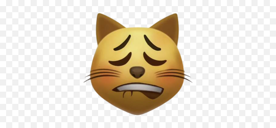 Lipbiteflushcat - Discord Emoji,Cat Emoji Transparent