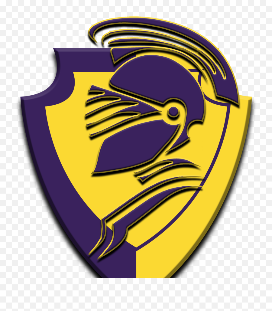 Trinbago Knight Riders Team Logo By Jiga Designs On Dribbble Emoji,Te Logo Design