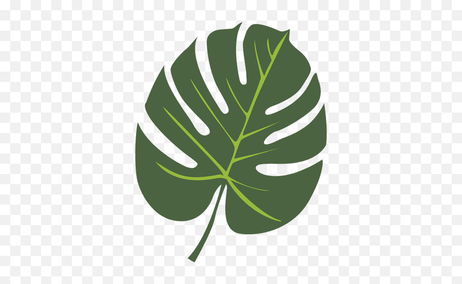 Tropical Palm Leaf Illustration - Illustration Tropical Leaf Icon Emoji,Palm Leaves Png