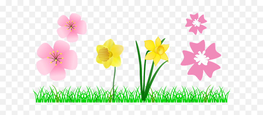 30 Free Daffodil U0026 Easter Vectors - Pixabay Vector Graphics Emoji,Daffodil Clipart