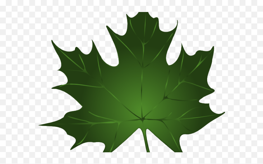 Transparent Fall Leaves And Pumpkins Border Png - Green Transparent Background Green Leaf Clip Art Emoji,Fall Border Png