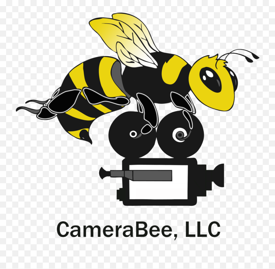 Faqs U2014 Camerabee Llc Emoji,Video Cameras Clipart