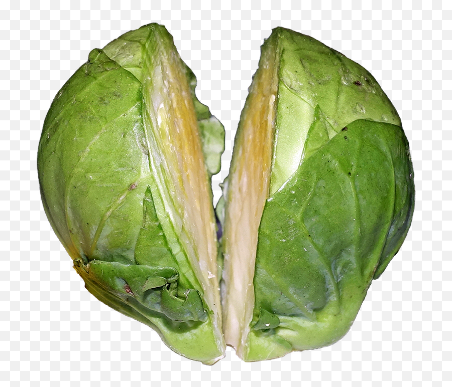 Brussels Sprout - Fresh Emoji,Sprout Png