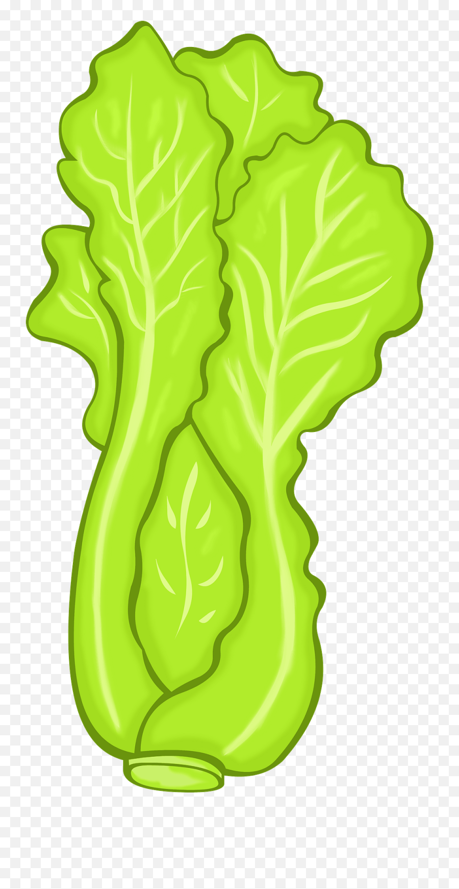 Lettuce Clipart - Lettuce Clipart Emoji,Salad Clipart