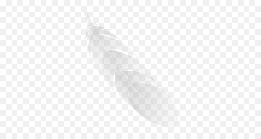 Eagle Feather White Bird Transparent Bald - Eagleeagle Emoji,Feather Transparent