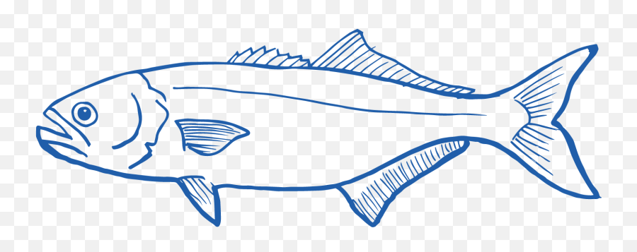 Seamoreu0027s Sustainable Seafood Emoji,Fish Scale Clipart