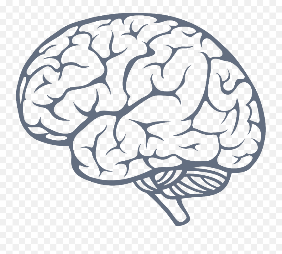 Brain Png - Brain Png Emoji,Brain Png