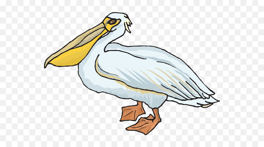 Free Pelican Cliparts Png Images - Clipart Pelican Png Emoji,Pelican Clipart
