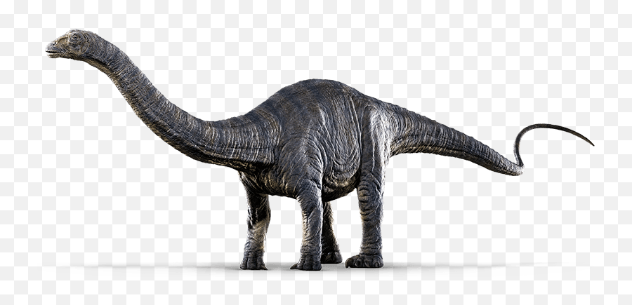 Jurassic World Evolution Transparent Png Png Mart - Apatosaurus De Jurassic World Emoji,Evolution Png