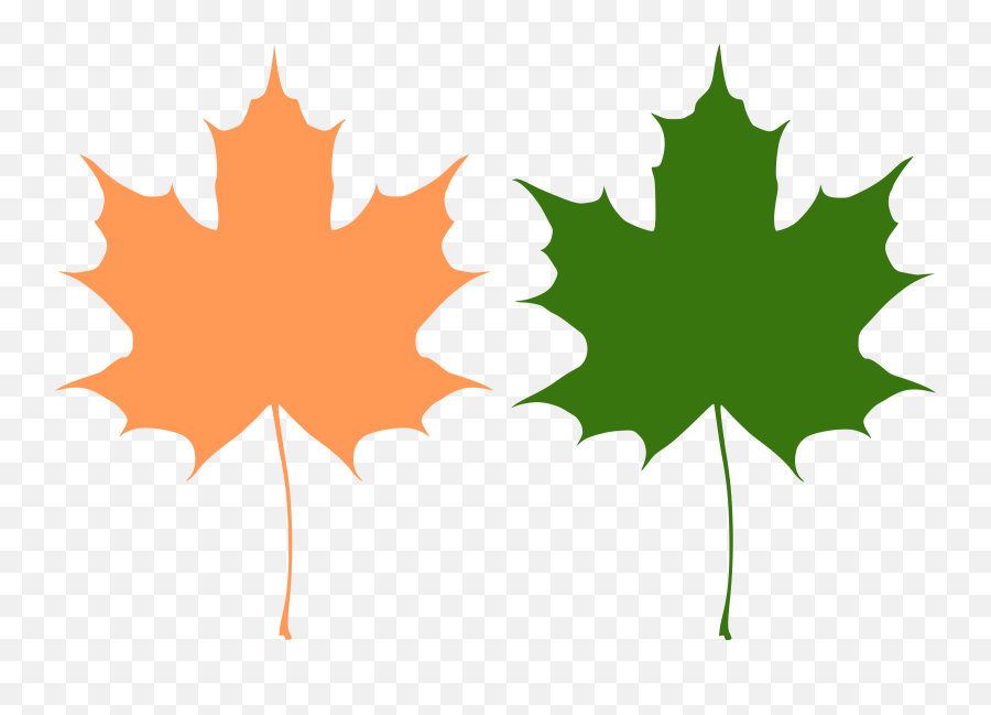 Free Pictures Of Maple Leaves Download Free Clip Art Free Clip Art - Maple Leaves Vector Emoji,Maple Leaf Clipart