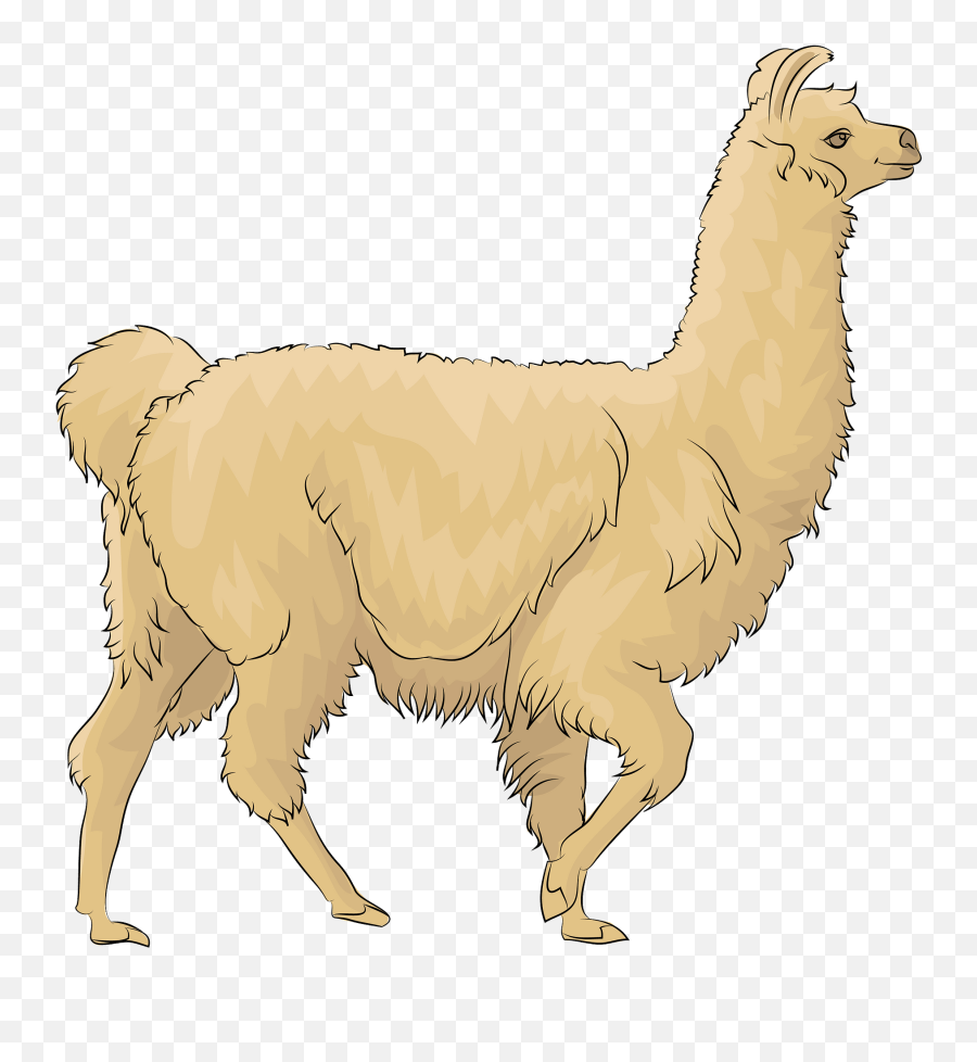 Llama Clipart - Lama Clipart Emoji,Llama Clipart