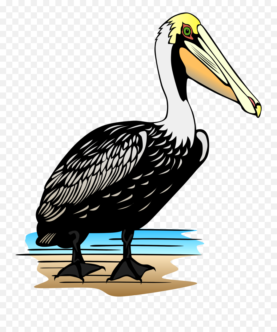 Pelican - Cartoon Brown Pelican Emoji,Pelican Clipart