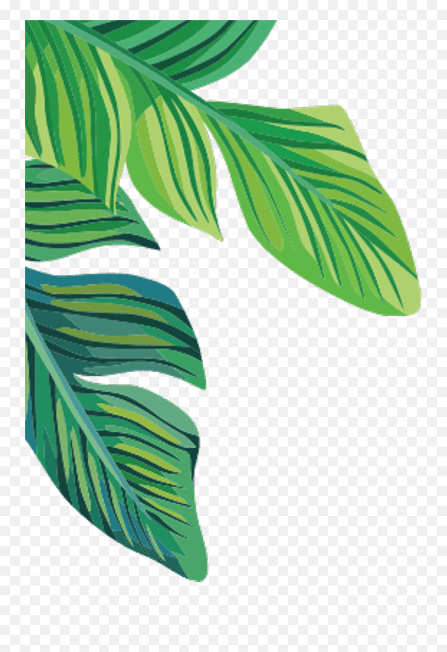 Banana Leaf Transparent Background - Clip Art Emoji,Leaf Transparent Background