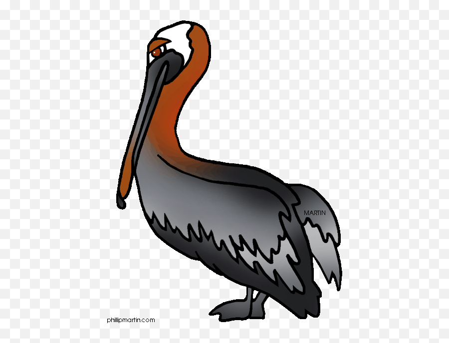 Pelican - Clip Art Brown Pelican Emoji,Pelican Clipart