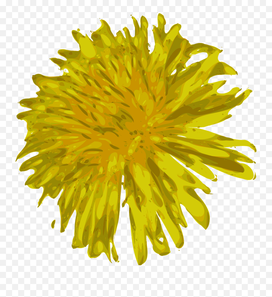Dandelion Flower Beautiful Wild Png - Clipart Löwenzahn Kostenlos Emoji,Dandelion Png