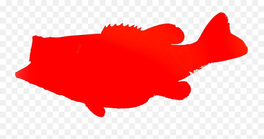 Transparent Fish Outline Picture Pngimagespics Emoji,Fish Outline Png