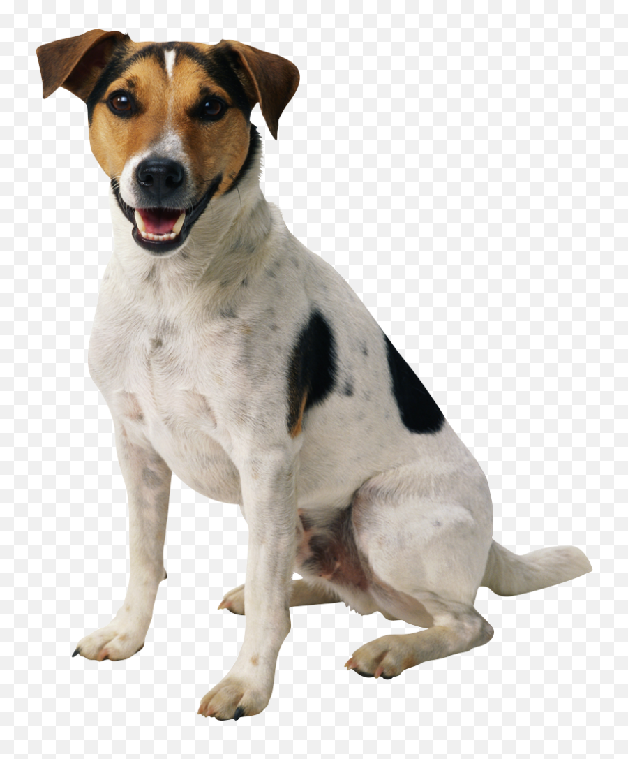 Small Cute Dog Transparent Png - Dog Transparent Emoji,Dog Transparent