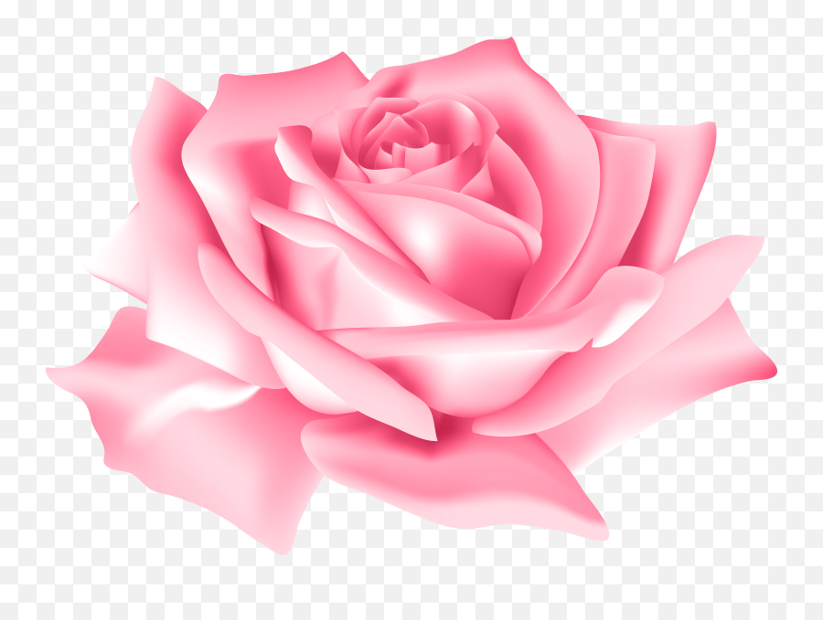 Pink Rose Flower Png Clip Art Image - Transparent Pink Rose Flower Png Emoji,Pink Flower Png