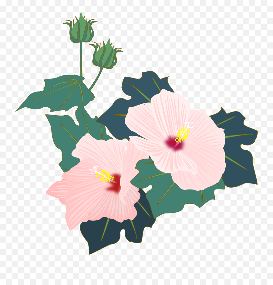 Hibiscus Clipart Free Download Transparent Png Creazilla - Hibiscus Mutabilis Flower Icon Emoji,Hibiscus Clipart