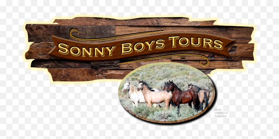 Sonny Boys Tours Emoji,Mustang Horse Logo