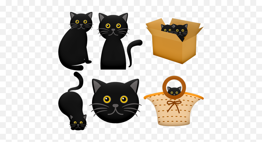 Free Photos Cat Peeking Around Corner Search Download Emoji,Halloween Corner Border Clipart