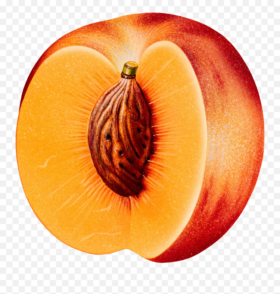 Peach Png Image Emoji,Peach Png