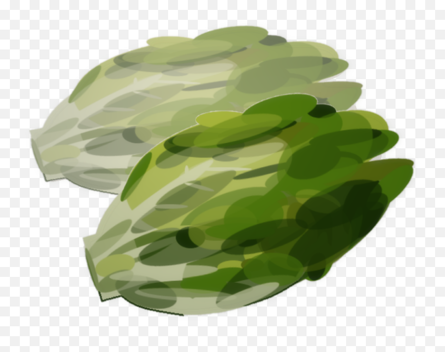 Health U2013 Res Novae Emoji,Lettuce Leaf Clipart