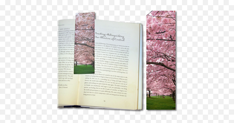 Canvas Bookmark Cherry Blossoms Emoji,Japanese Cherry Blossom Png