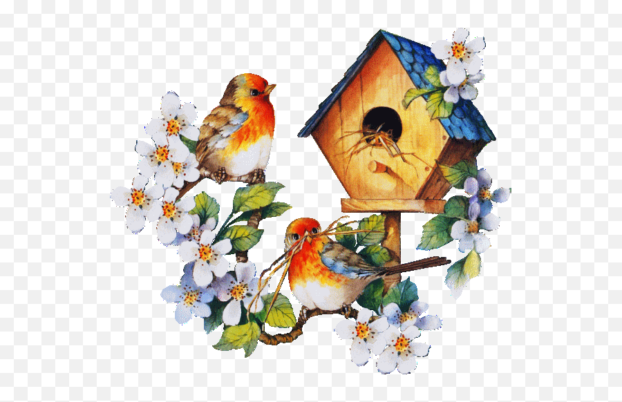 Top 30 Transparent Flowers Gifs Find The Best Gif On Gfycat - Birds Home Nest Animated Gif Emoji,Flowers Transparent