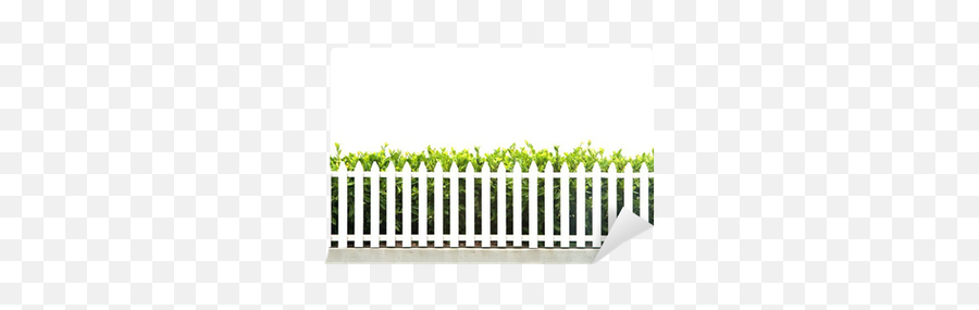 White Picket Fence Strip With Green Garden Bushes Wall Mural Emoji,White Picket Fence Png