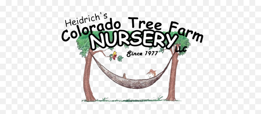 Home - Heidrichu0027s Colorado Tree Farm Nursery Emoji,Tree Elevation Png