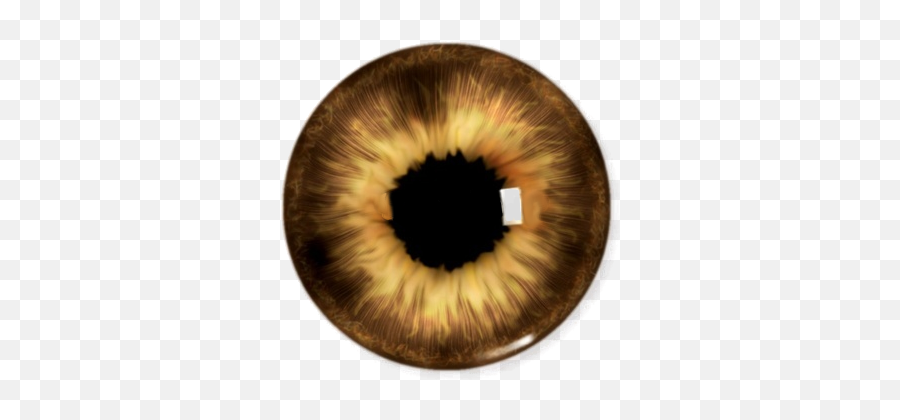 Eye Png - Brown Eyes Png Emoji,Eye Png