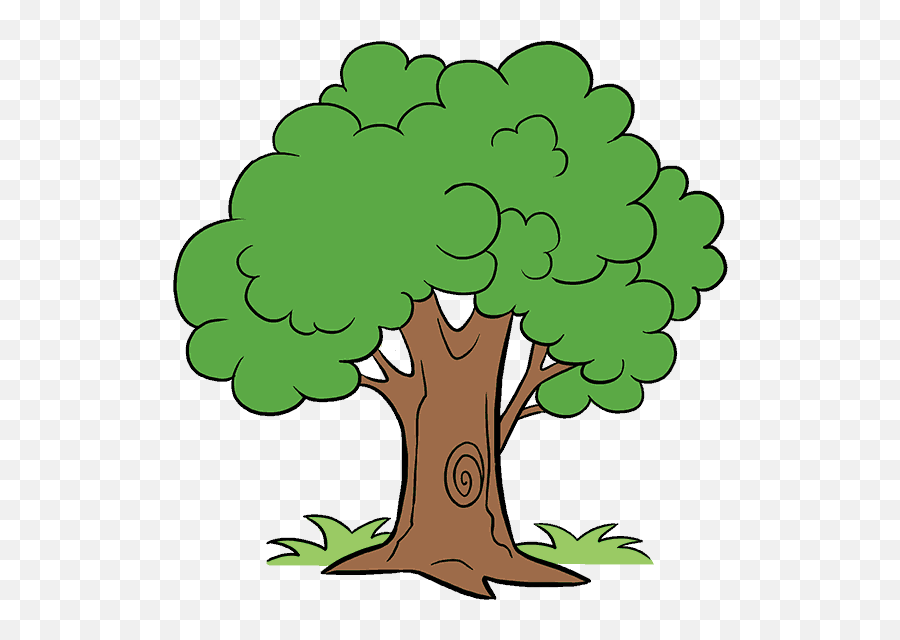 How To Draw A Cartoon Tree Easy Step By Step Drawing Guides - Tree Cartoon Emoji,Steps Clipart