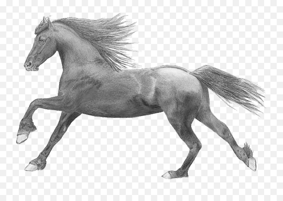 Figuremaremustang Horsesorrelblack And Character - Wild Running Black Horse Transparent Background Emoji,Running Horse Clipart