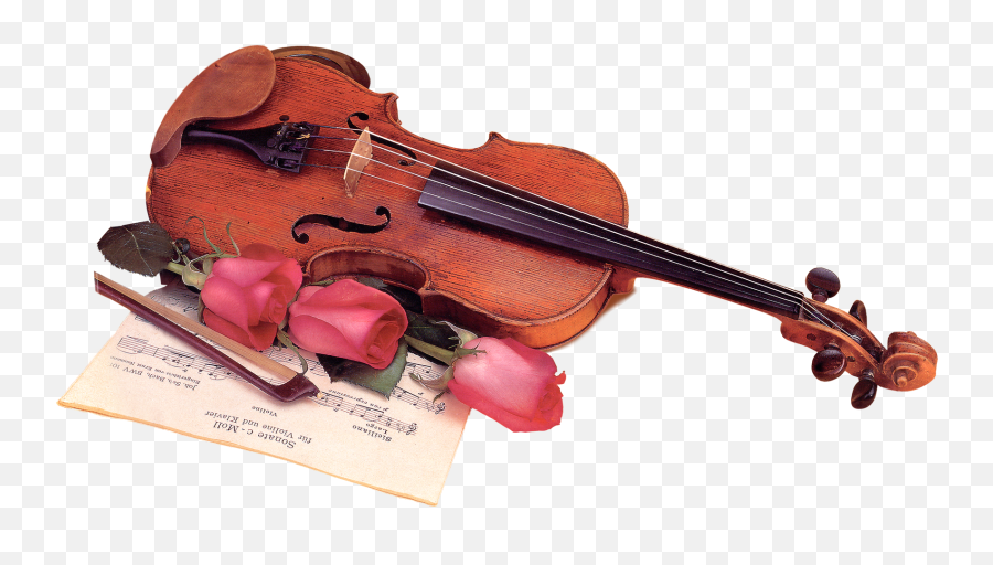 Download Violin U0026 Bow Png Image For Free Violin Violin - Png Emoji,Violin Clipart