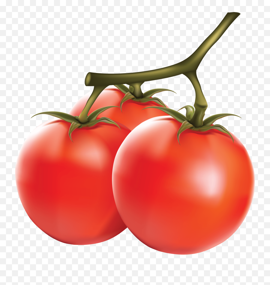 Download Tomato Png Image Hq Png Image - Iletiim Emoji,Tomato Png