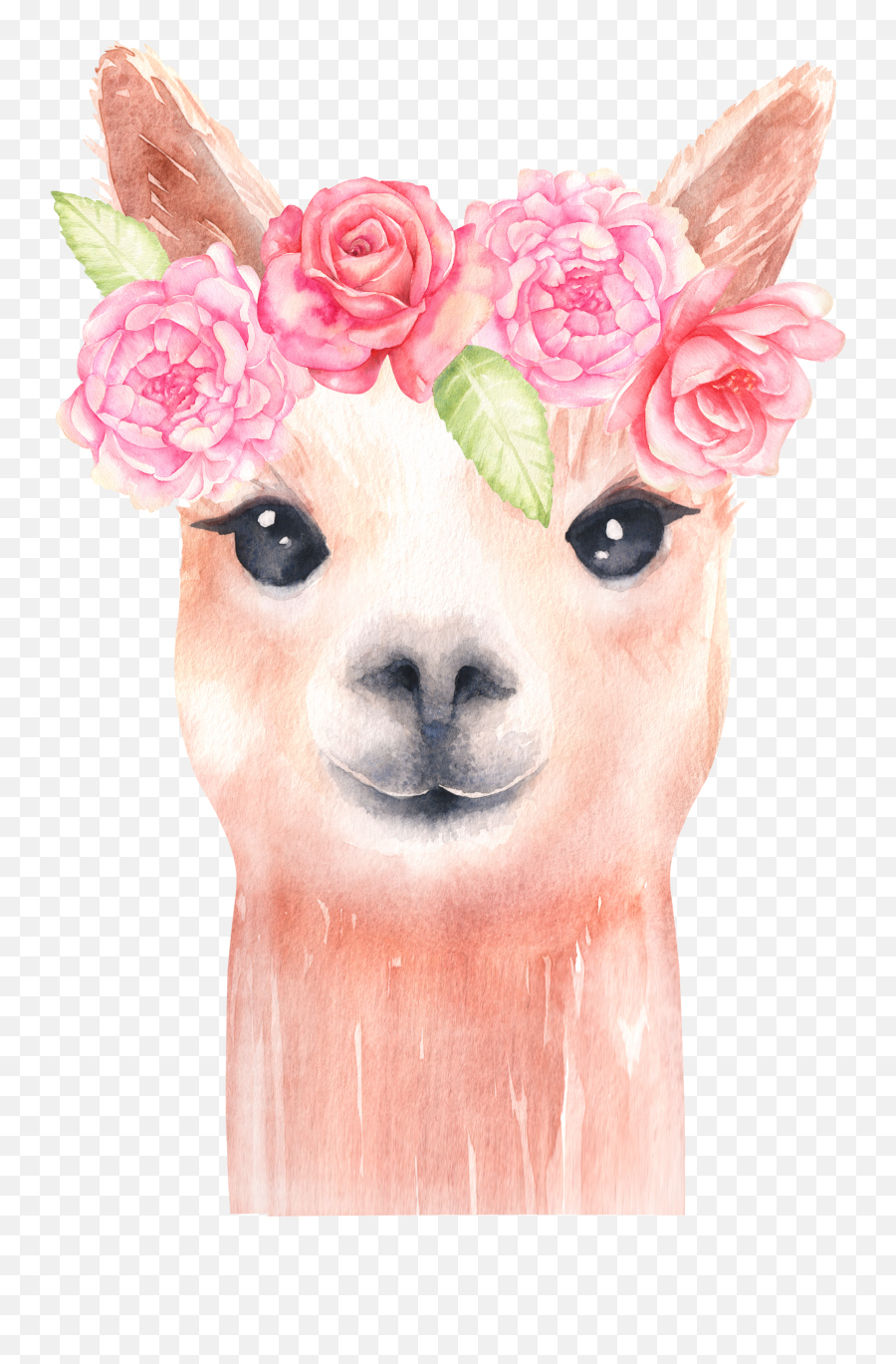 Llama Watercolor Clipart Alpaca - Transparent Llama Clipart Emoji,Llama Clipart