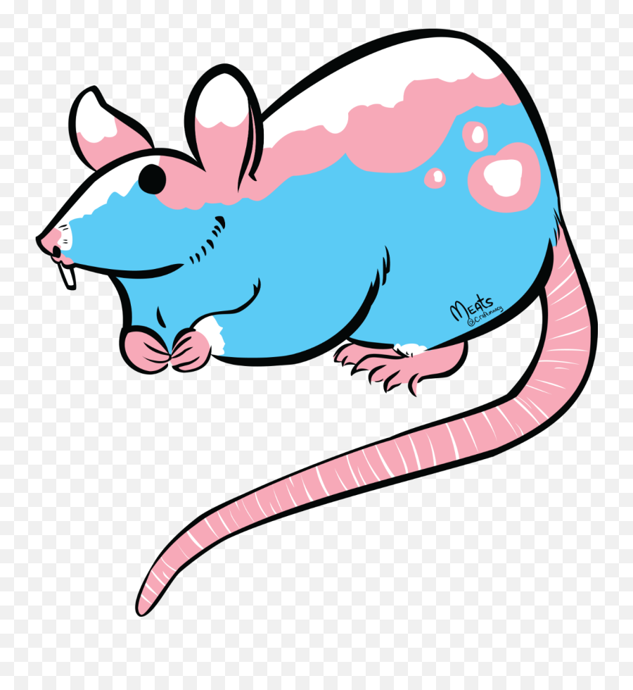 Download Hd The Trans Rat Design In Its Transparency Form - Bigender Rat Emoji,Rat Transparent Background
