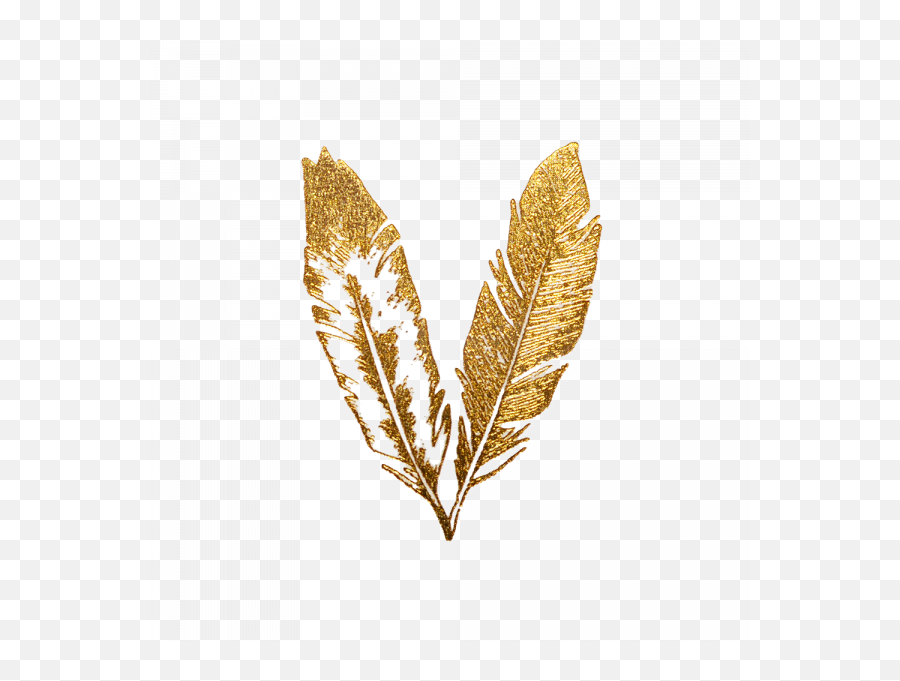 Gold Feather Clipart Transparent Images U2013 Free Png Images - Black And Gold Feather Png Emoji,Feather Clipart
