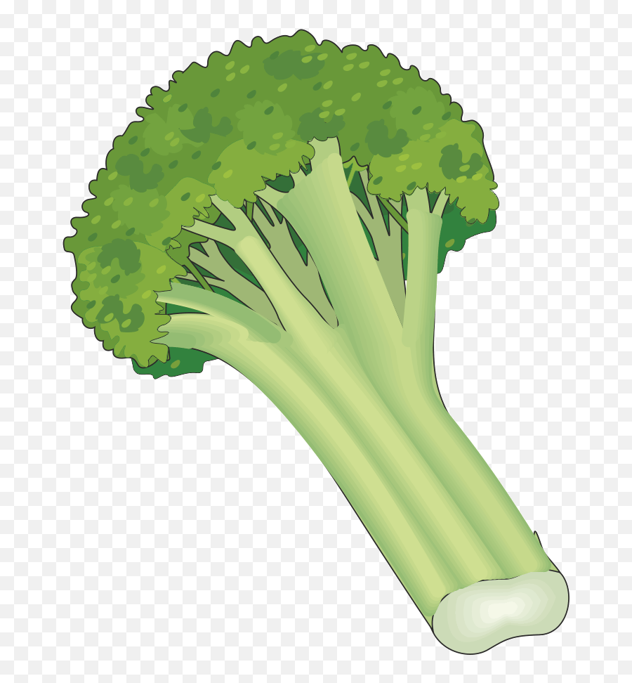 Vegetable Vocabulary Flashcards Emoji,Veggie Clipart