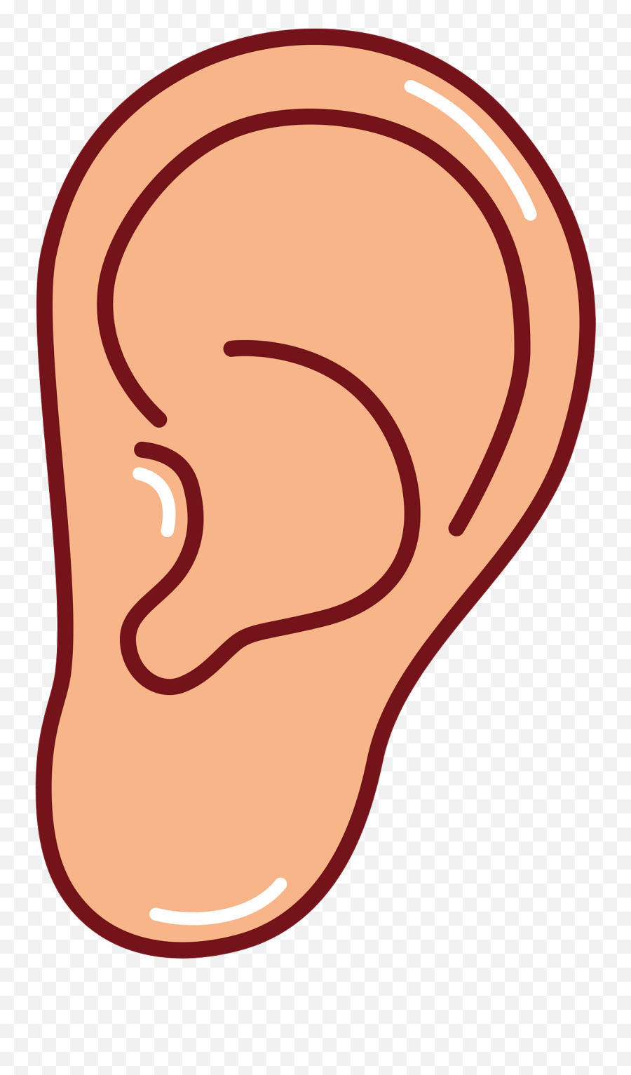 Ear Clipart - Ear Clipart Emoji,Ear Clipart