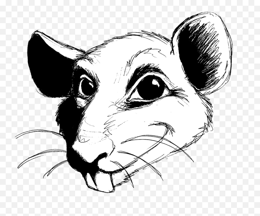 Drawn Rat Transparent - Rat Head Drawing Transparent Rat Head Drawing Emoji,Rat Transparent Background