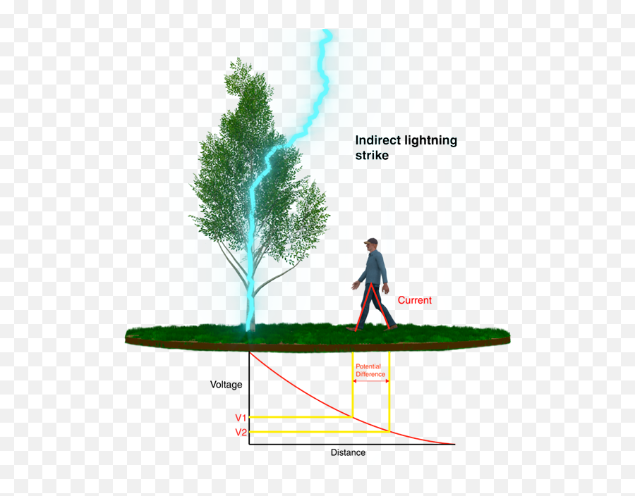 How Does A Lightning Rod Work - Lightning Tree Strike Png Emoji,Lightning Effect Png