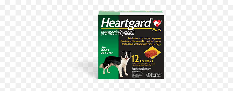Types Of Parasitic Worms Threatening Dogs Heartgard Clinic Emoji,Target Logo Dog