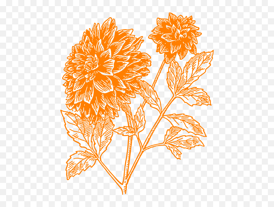 Orange Dahlia Clip Art At Clkercom - Vector Clip Art Online Emoji,Marigolds Clipart