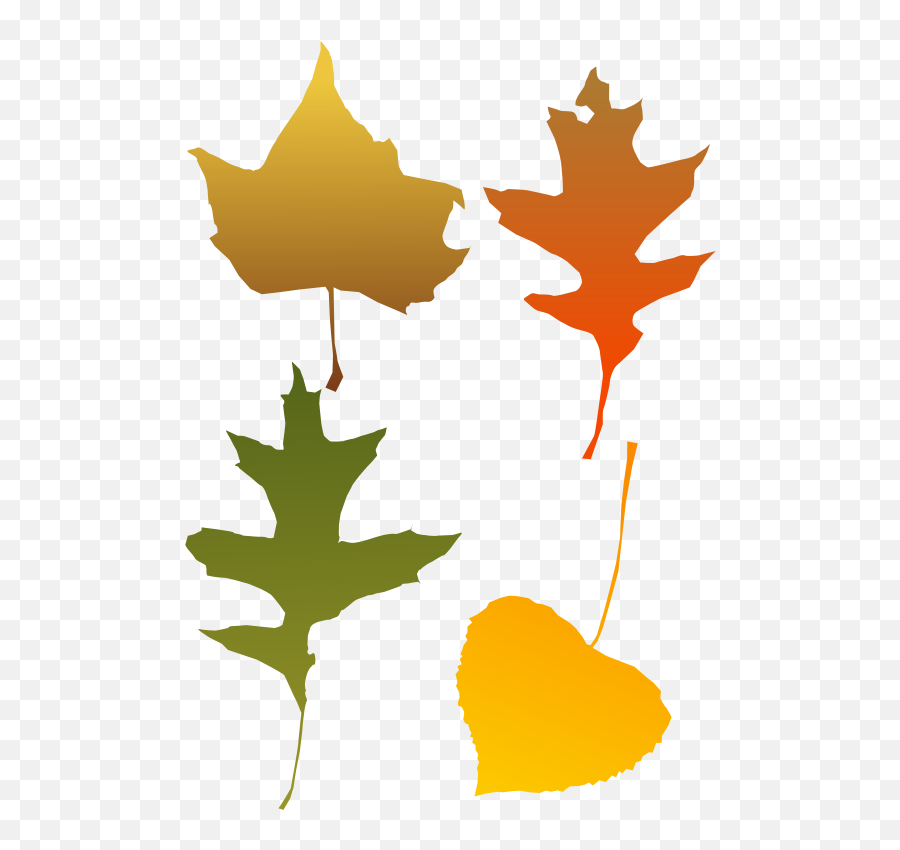 Fall Clipart Bare Fall Tree Fall Bare Fall Tree Transparent - Oak Leaf Emoji,Fall Tree Clipart