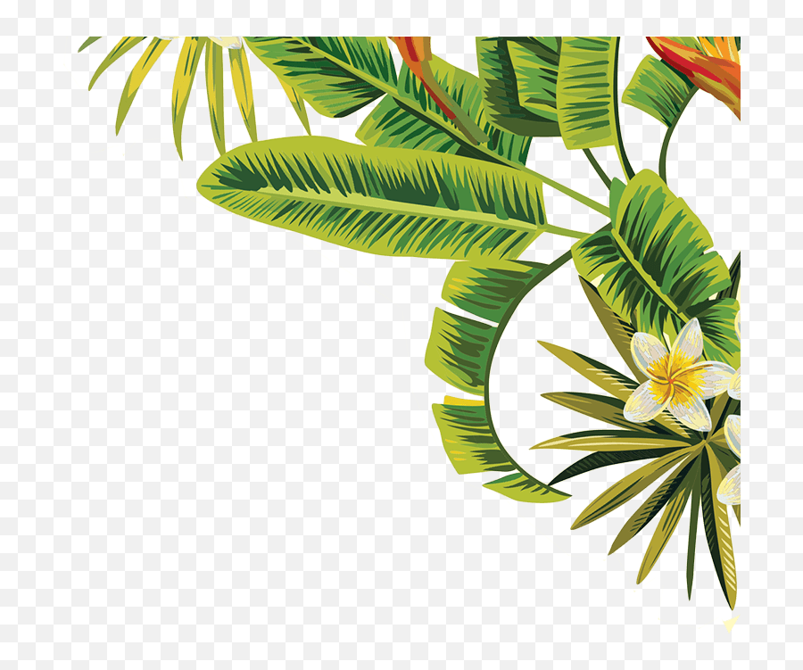 Image Result For Tropical Palm Leaves Png - Tropical Leaves Flowers Png Emoji,Palm Leaves Png