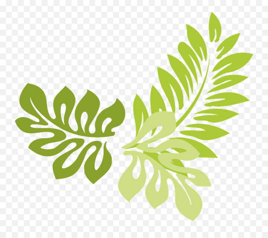 Fern Clip Art Leaf Border Clipped Art Clip Art - Vector Leaf Clipart Border Emoji,Business Clipart