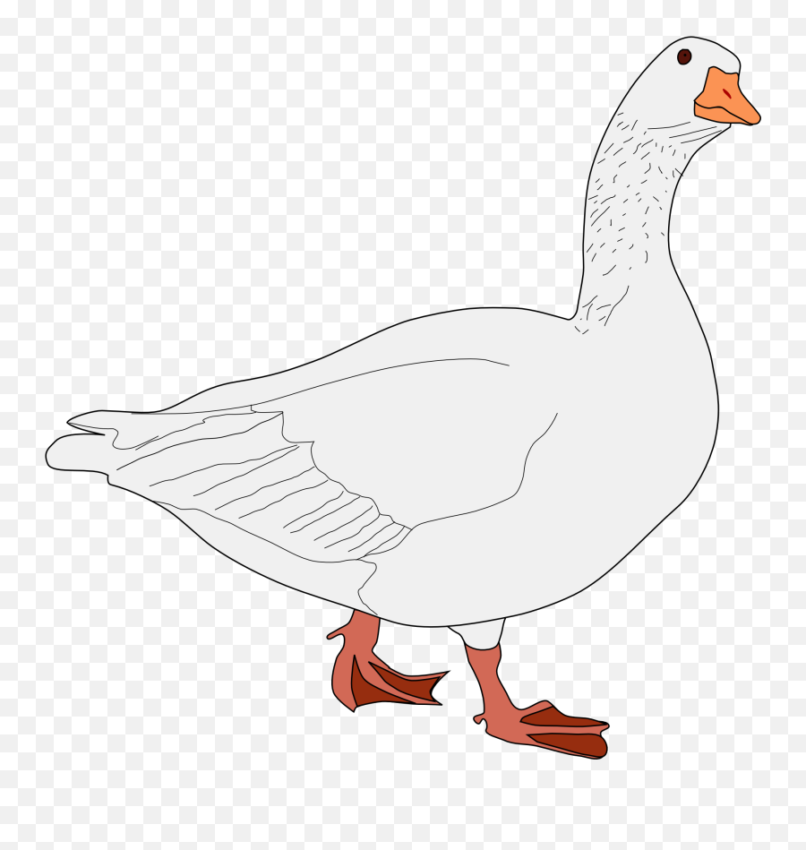 White Goose Clipart Free Image - Clip Art Emoji,Goose Clipart